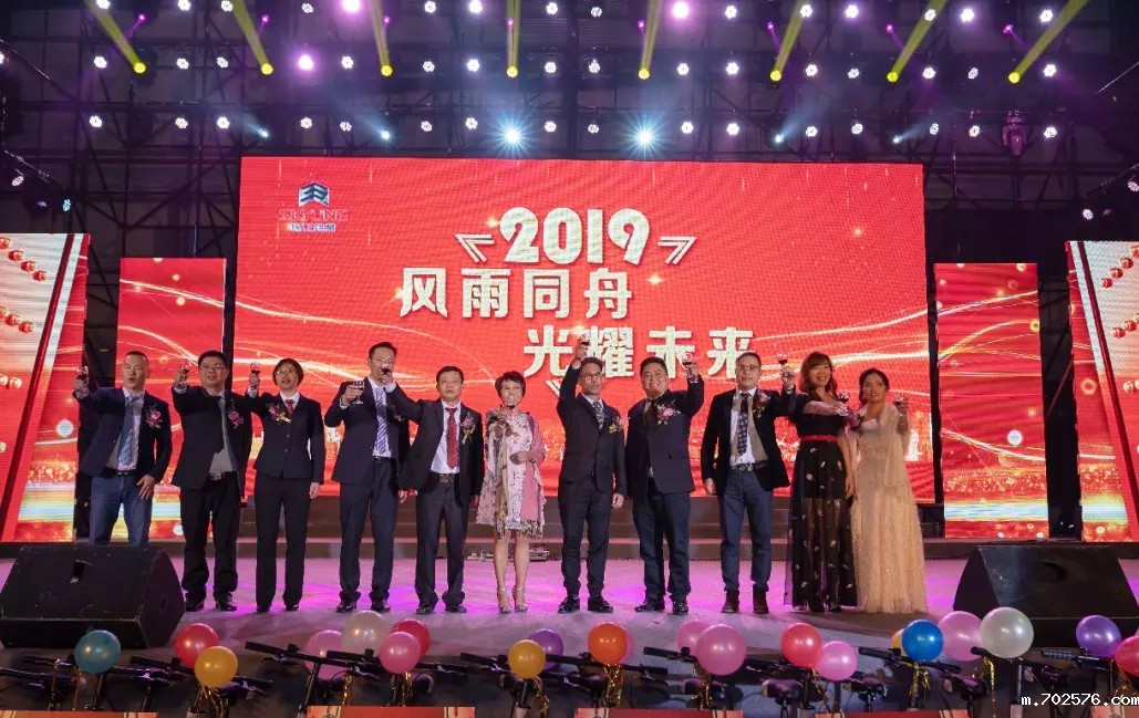 2019 SKYLINE New Year