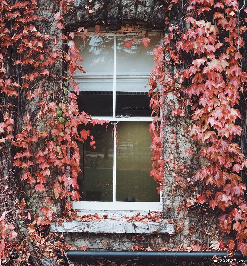 108断桥窗纱一体装配图